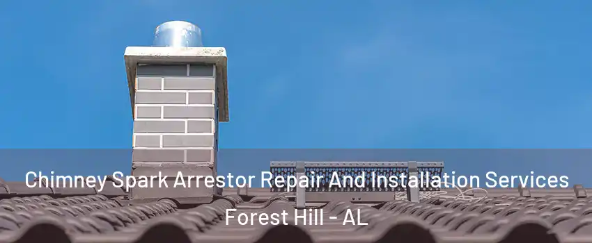 Chimney Spark Arrestor Repair And Installation Services Forest Hill - AL