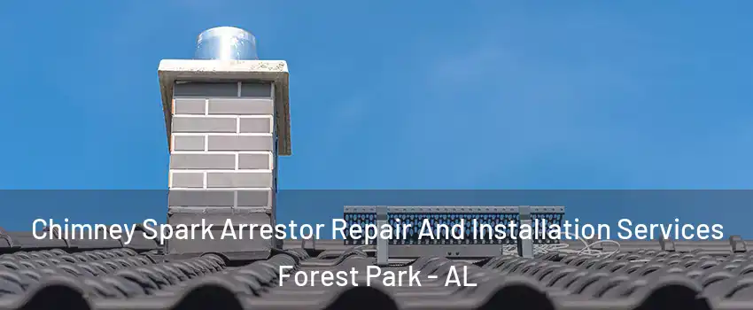 Chimney Spark Arrestor Repair And Installation Services Forest Park - AL
