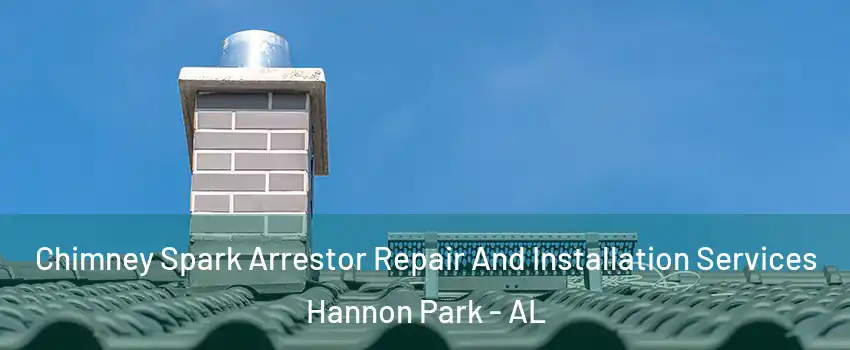 Chimney Spark Arrestor Repair And Installation Services Hannon Park - AL