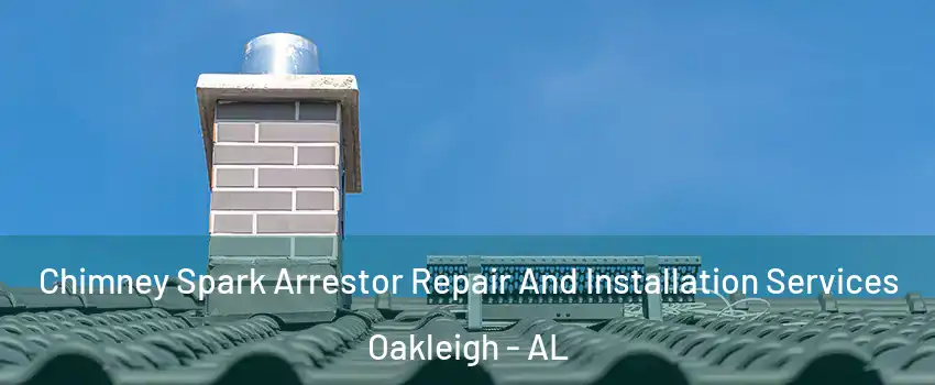 Chimney Spark Arrestor Repair And Installation Services Oakleigh - AL