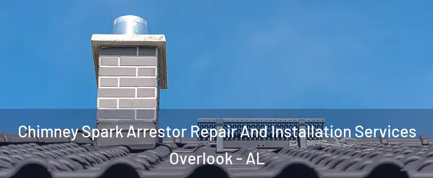 Chimney Spark Arrestor Repair And Installation Services Overlook - AL
