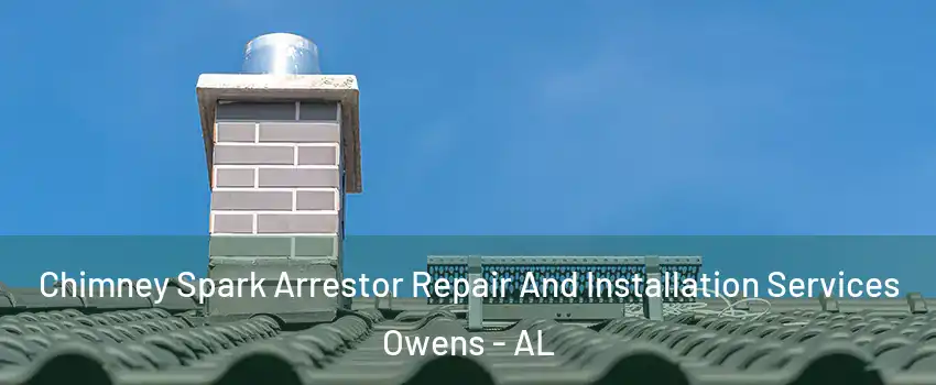 Chimney Spark Arrestor Repair And Installation Services Owens - AL