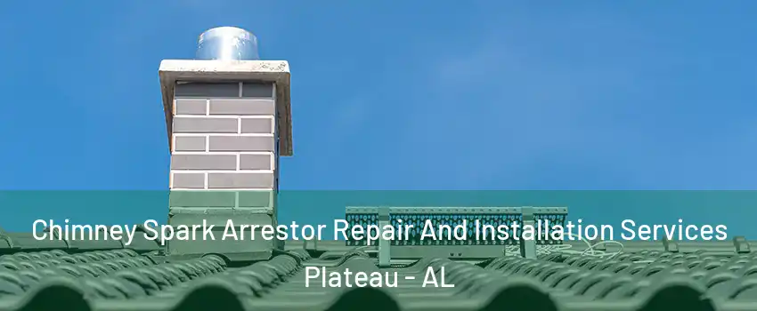 Chimney Spark Arrestor Repair And Installation Services Plateau - AL