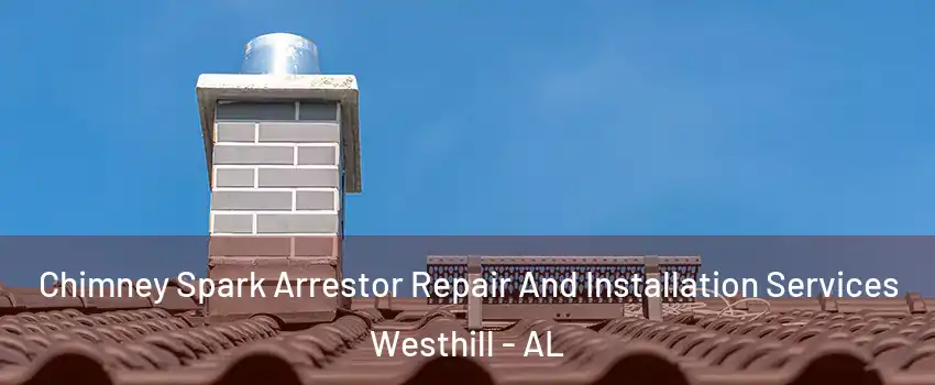 Chimney Spark Arrestor Repair And Installation Services Westhill - AL