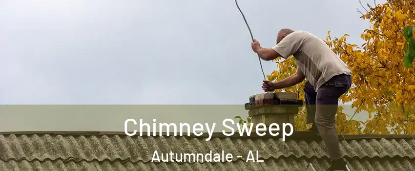 Chimney Sweep Autumndale - AL