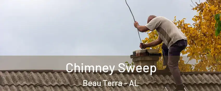 Chimney Sweep Beau Terra - AL