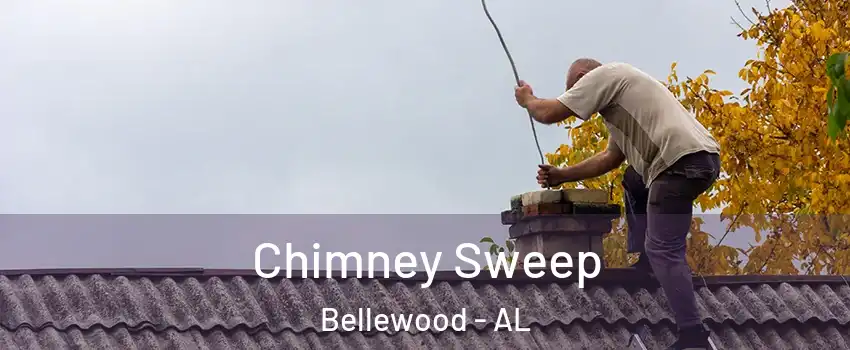 Chimney Sweep Bellewood - AL