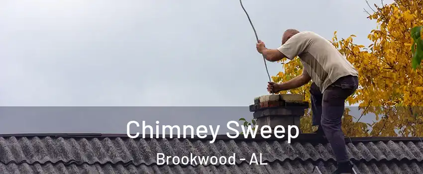 Chimney Sweep Brookwood - AL