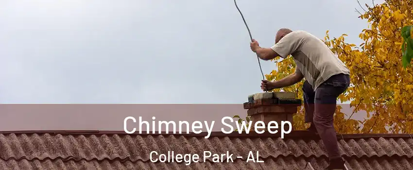 Chimney Sweep College Park - AL