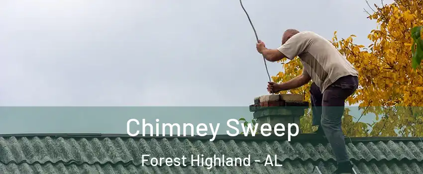 Chimney Sweep Forest Highland - AL
