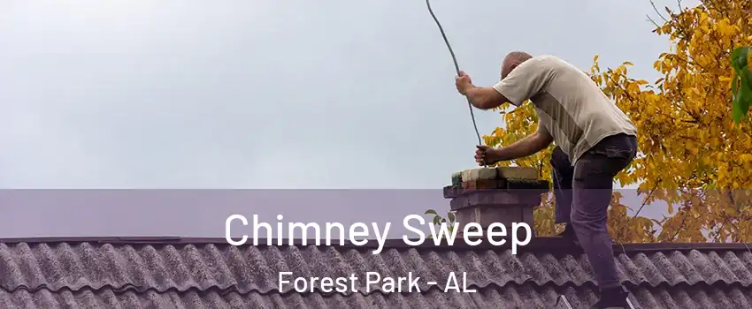 Chimney Sweep Forest Park - AL