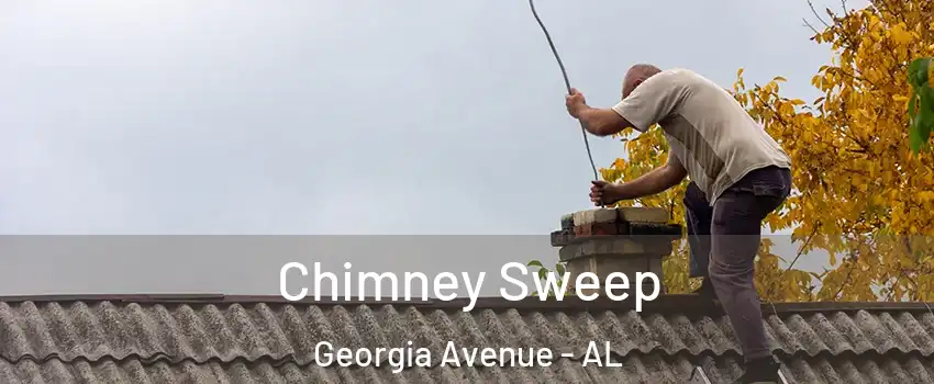 Chimney Sweep Georgia Avenue - AL