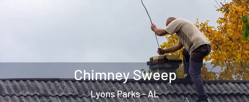 Chimney Sweep Lyons Parks - AL