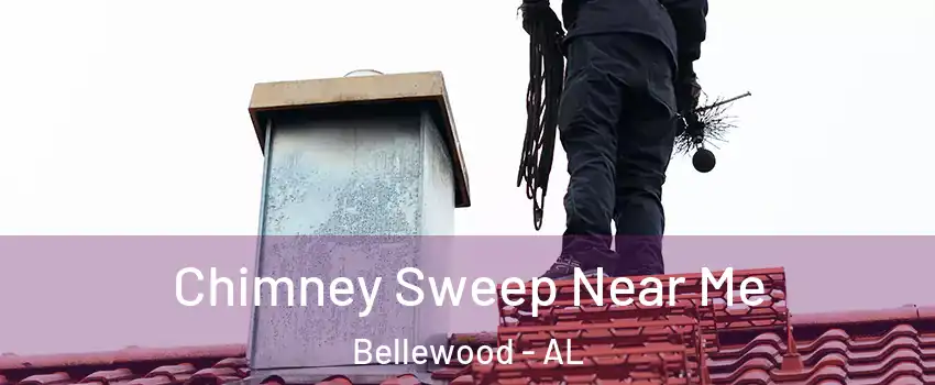 Chimney Sweep Near Me Bellewood - AL
