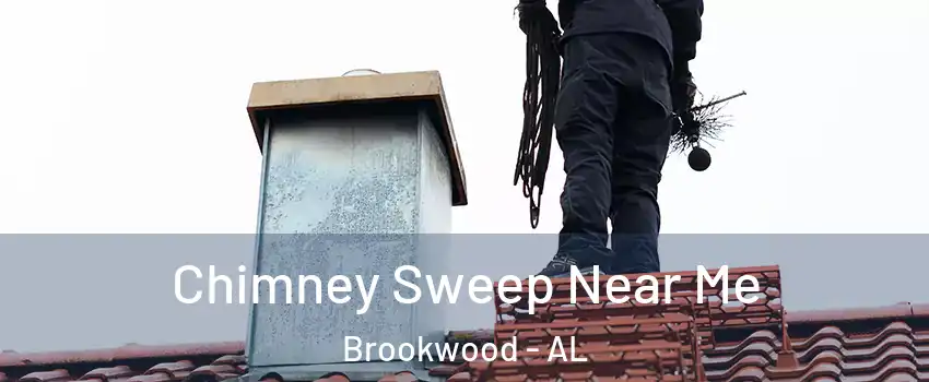 Chimney Sweep Near Me Brookwood - AL