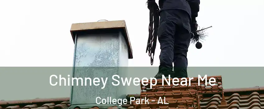 Chimney Sweep Near Me College Park - AL