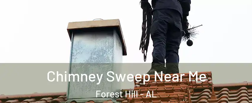 Chimney Sweep Near Me Forest Hill - AL