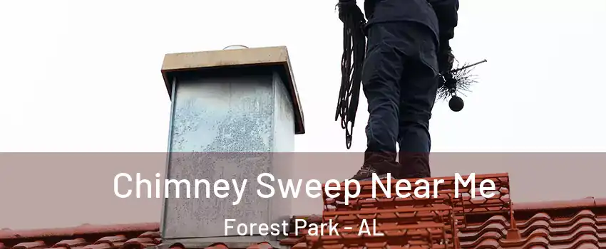 Chimney Sweep Near Me Forest Park - AL
