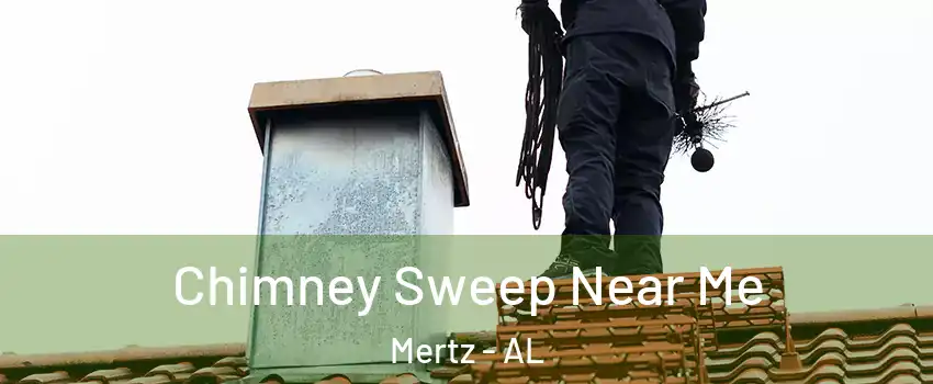 Chimney Sweep Near Me Mertz - AL