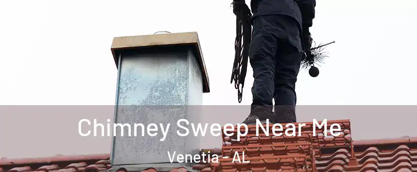 Chimney Sweep Near Me Venetia - AL