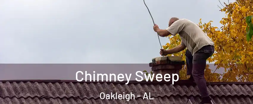 Chimney Sweep Oakleigh - AL