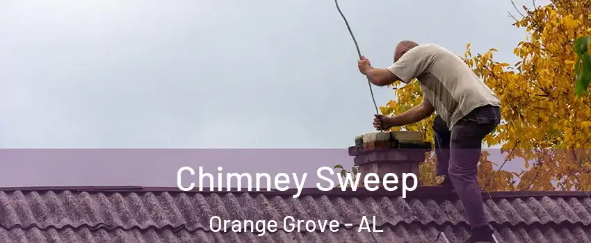 Chimney Sweep Orange Grove - AL