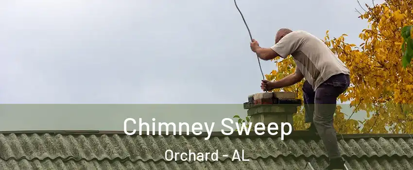 Chimney Sweep Orchard - AL