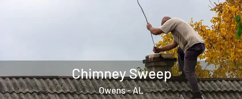 Chimney Sweep Owens - AL