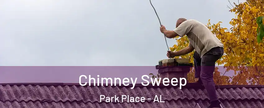 Chimney Sweep Park Place - AL