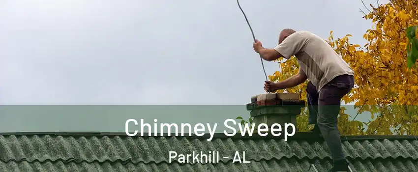 Chimney Sweep Parkhill - AL