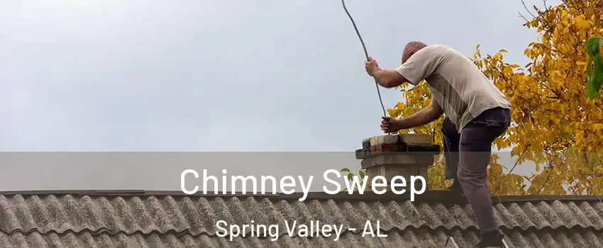 Chimney Sweep Spring Valley - AL