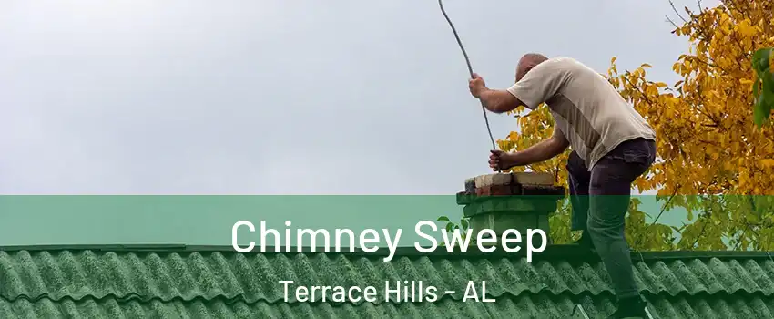 Chimney Sweep Terrace Hills - AL