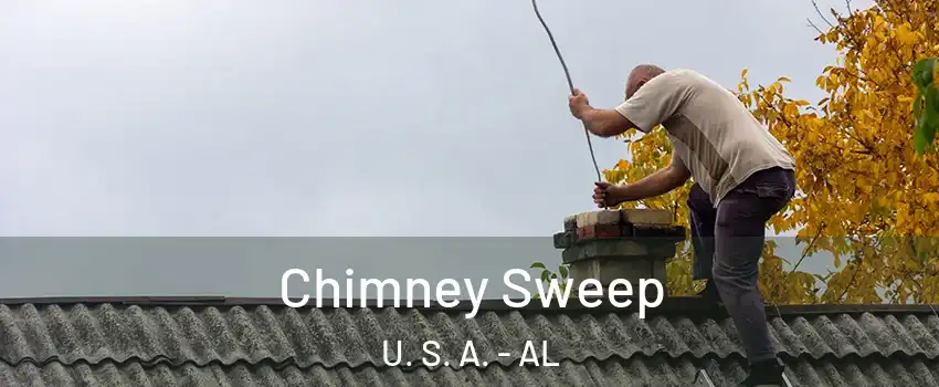 Chimney Sweep U. S. A. - AL