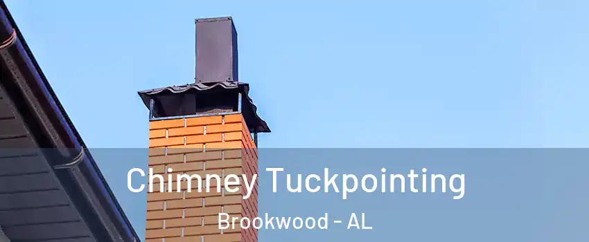 Chimney Tuckpointing Brookwood - AL
