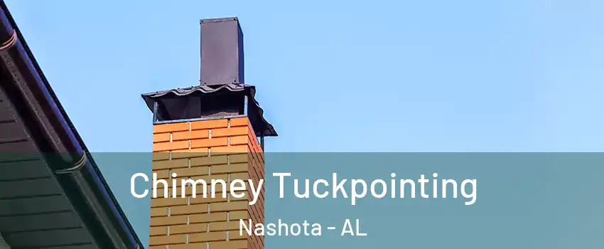 Chimney Tuckpointing Nashota - AL