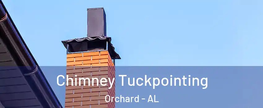 Chimney Tuckpointing Orchard - AL