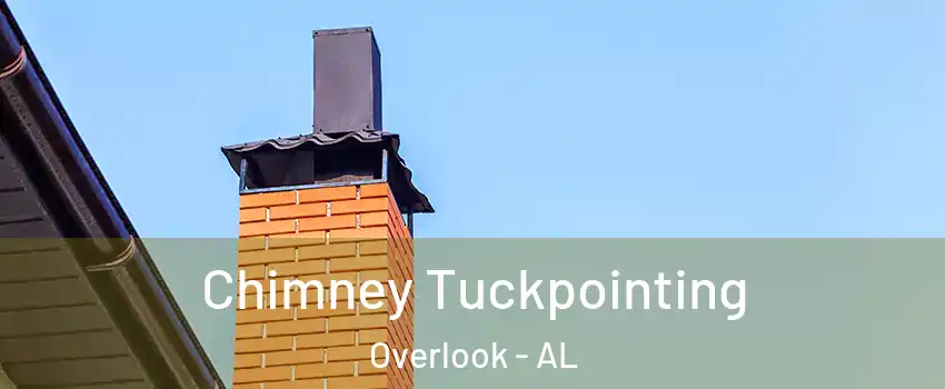 Chimney Tuckpointing Overlook - AL