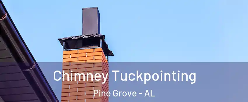 Chimney Tuckpointing Pine Grove - AL