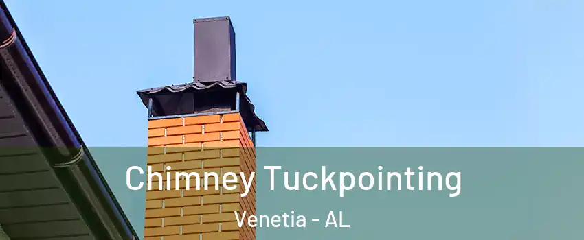Chimney Tuckpointing Venetia - AL