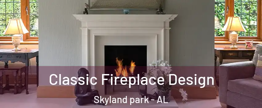 Classic Fireplace Design Skyland park - AL