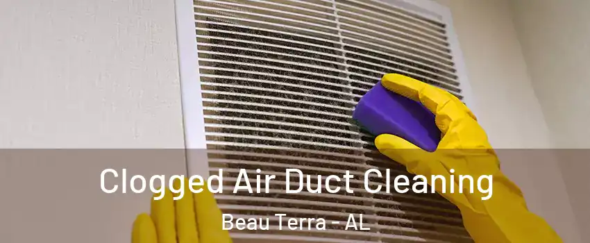 Clogged Air Duct Cleaning Beau Terra - AL