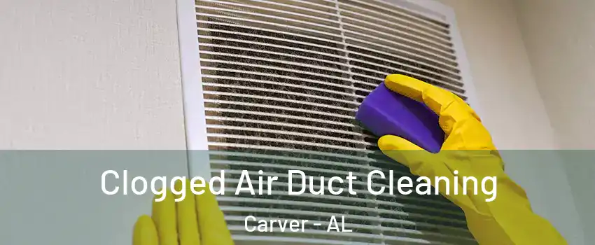 Clogged Air Duct Cleaning Carver - AL