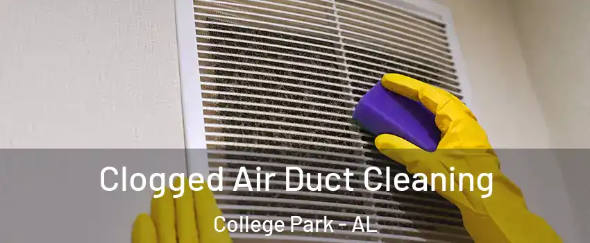 Clogged Air Duct Cleaning College Park - AL
