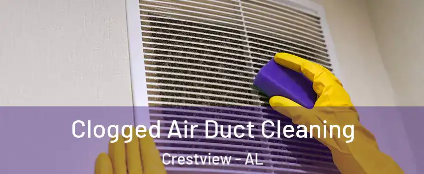 Clogged Air Duct Cleaning Crestview - AL