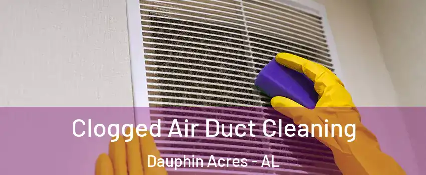 Clogged Air Duct Cleaning Dauphin Acres - AL