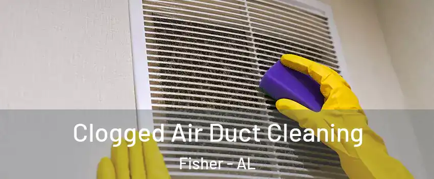 Clogged Air Duct Cleaning Fisher - AL