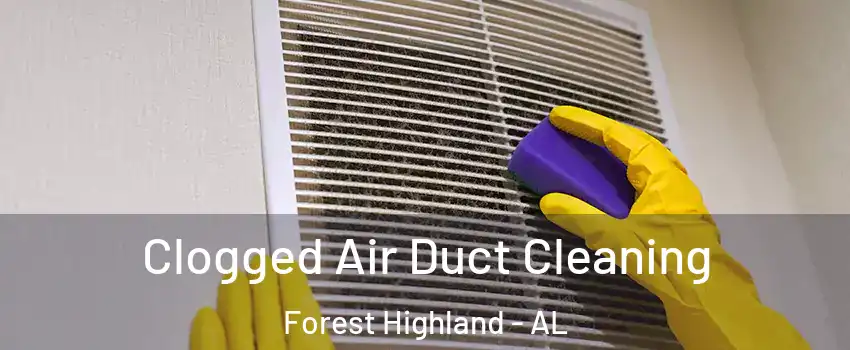 Clogged Air Duct Cleaning Forest Highland - AL