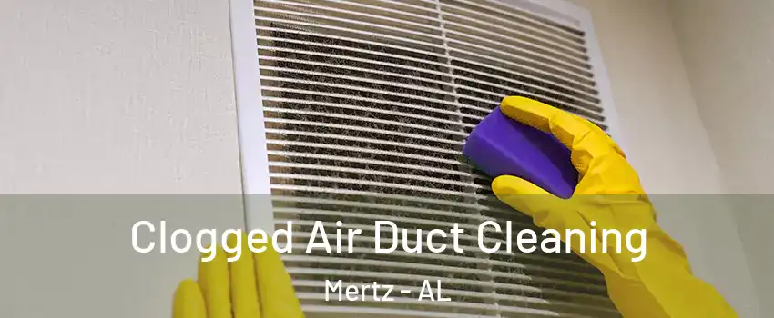Clogged Air Duct Cleaning Mertz - AL