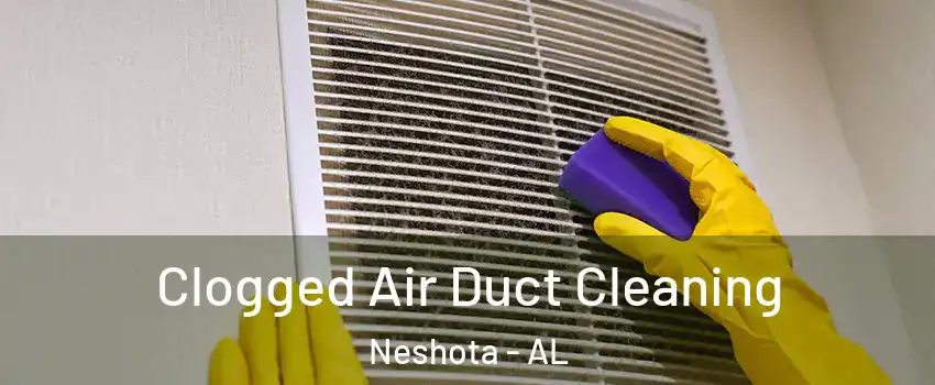Clogged Air Duct Cleaning Neshota - AL