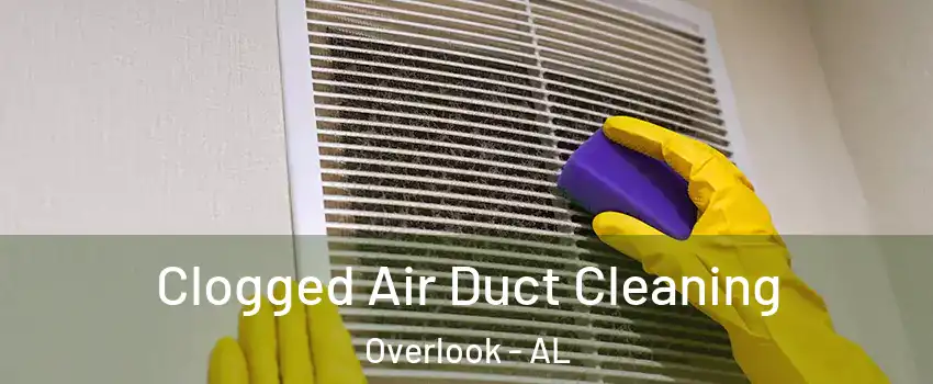 Clogged Air Duct Cleaning Overlook - AL